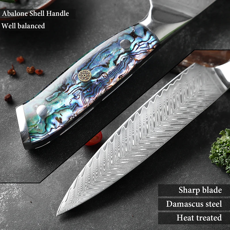 Sapphire Chef Knife 8'' - Professional VG10 Japanese Damascus Steel Sharp Cleaver with Abalone Shell Handle