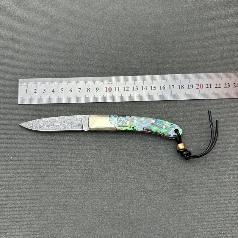 Abalone Shell & Ebony Handle - Damascus Pocket Knife - 167 Layers VG10 Steel