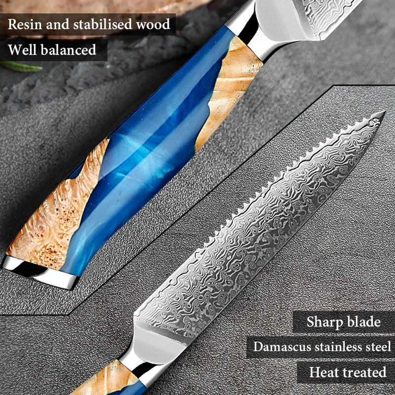 Steak Knife Set 4 -Piece - Japanese VG10 Steel Blades, 5-Inch Premium Serrated